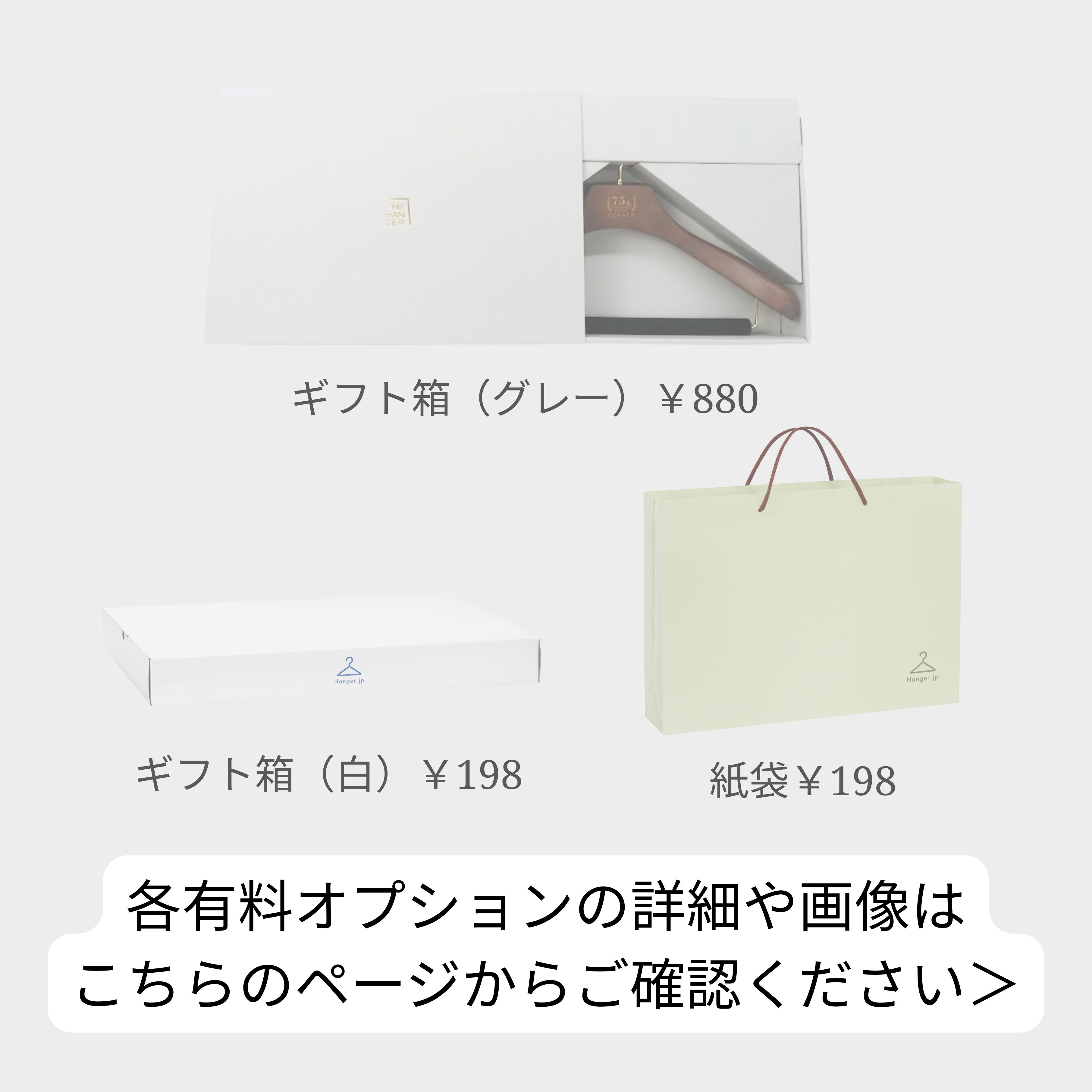 有料オプション詳細