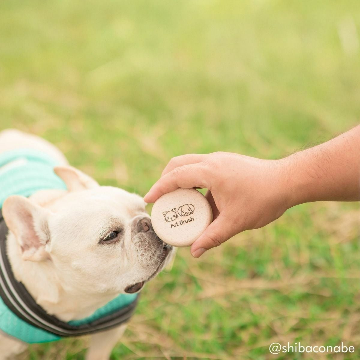わんにゃんマッサージブラシ　「あのこのて」