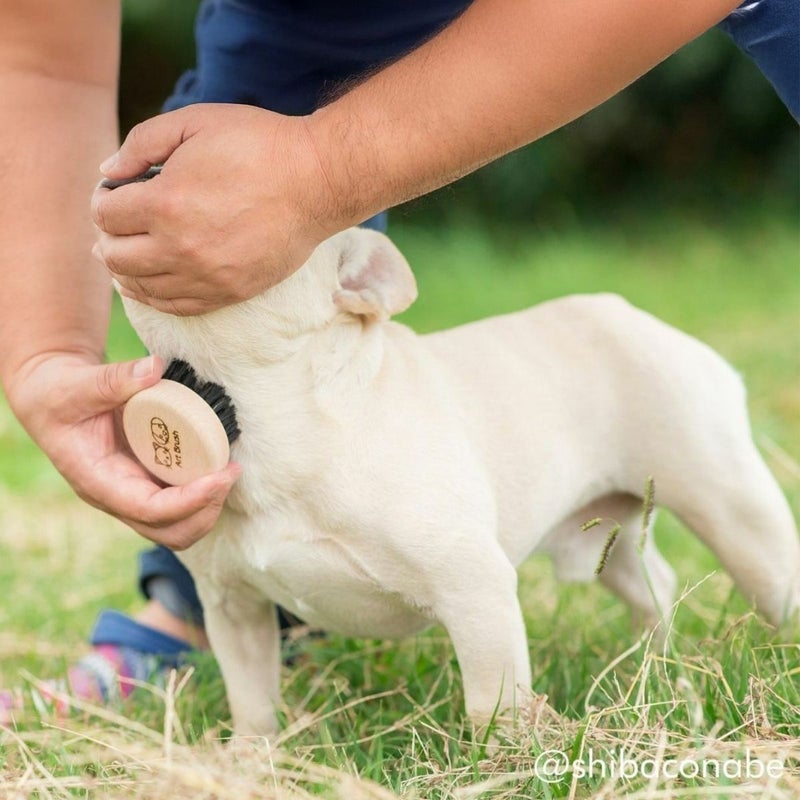 わんにゃんマッサージブラシ　「あのこのて」