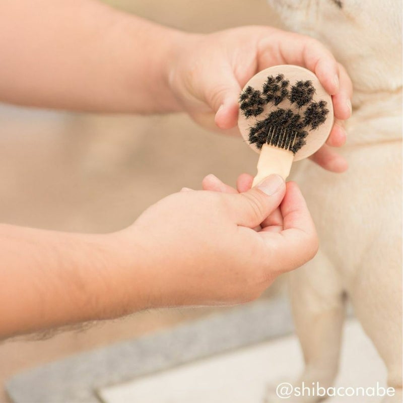 わんにゃんマッサージブラシ　「あのこのて」
