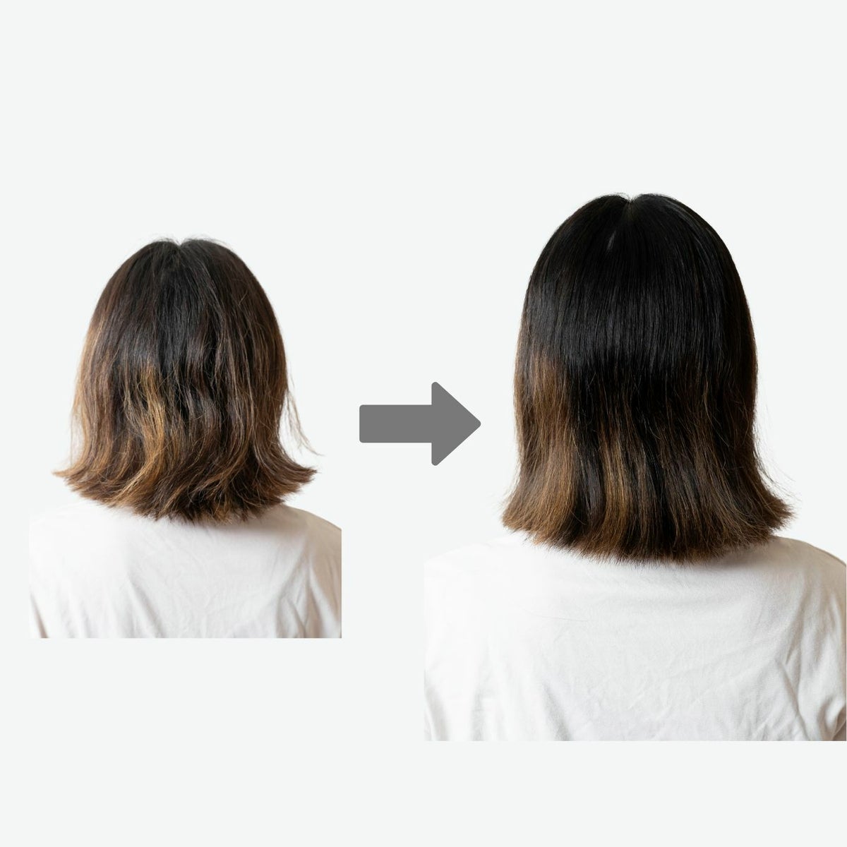 猪毛ヘアブラシ　「かみわざ」